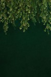 Floral_Scenery_24