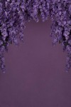 Floral_Scenery_26