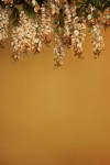 Floral_Scenery_27