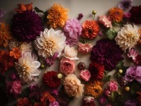 TFloral_02