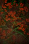 TFloral_26