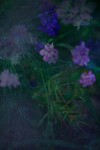 TFloral_28