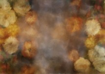 TFloral_42