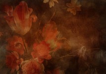 TFloral_47