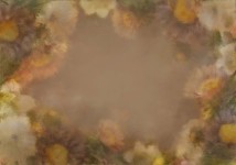 TFloral_51