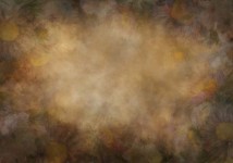 TFloral_58
