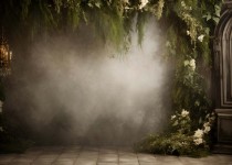 Plants_01