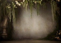 Plants_02