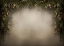 Plants_03
