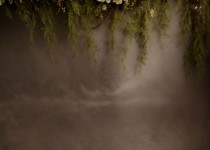 Plants_04