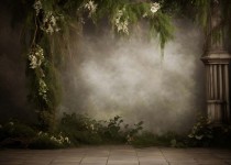 Plants_10