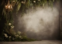 Plants_11