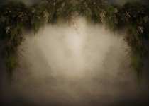 Plants_12