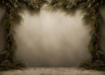 Plants_14