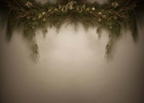 Plants_16