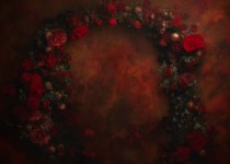 Roses_01
