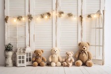 Teddy_01