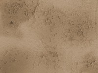 Texture_061