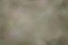 Texture_135