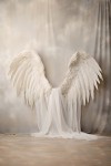 Wings_06