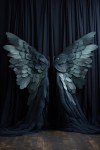 Wings_07