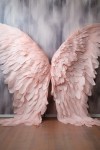Wings_08