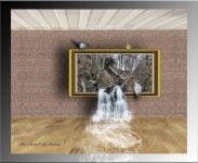 Bild (6)