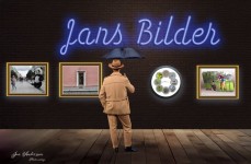 Bild (8)