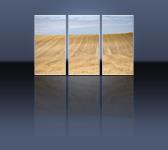 Triptych
